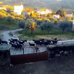 Pedregulho Experience *