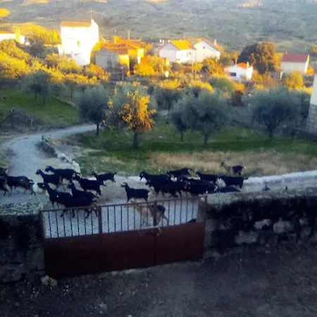 Pedregulho Experience *