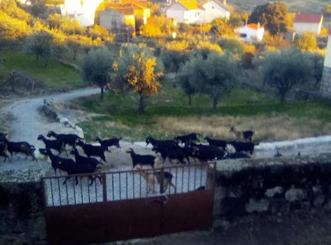 Pedregulho Experience *